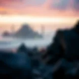 Exploring Ariva: Its Role in the Cryptocurrency Ecosystem Introduction
