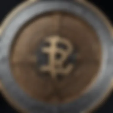 Intricate Details of a Physical Crypto Coin A close-up of a physical crypto coin displaying intricate designs and the cryptocurrency logo