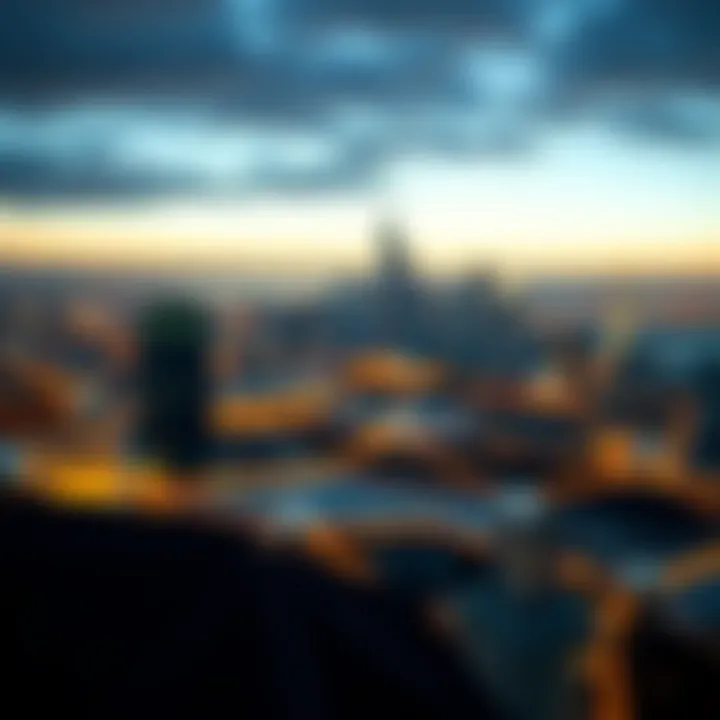 Representation of the Polygon network ecosystem