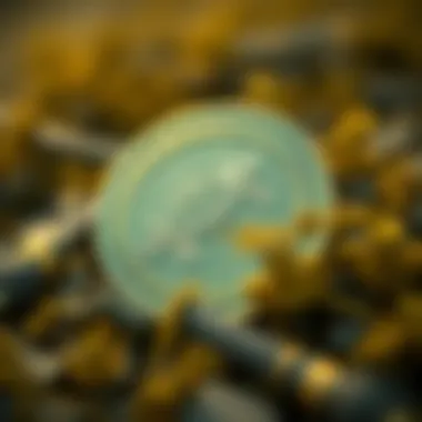 Turtle Coin Blockchain Technology Diagram illustrating Turtle Coin's blockchain technology