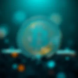 Conceptual representation of Unicoin as a digital currency